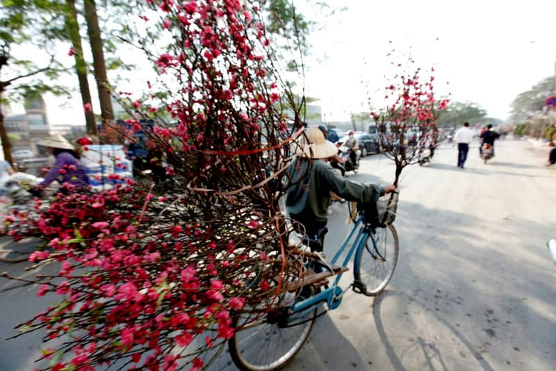 VIETNAM WEATHER IN FEBRUARY 2018 VIETNAM WEATHER IN FEBRUARY 2018